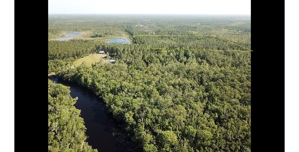 540 Hickory Hammock Road Carrabelle, FL 32322 - Photo 2 of 3 Gallery Image 2