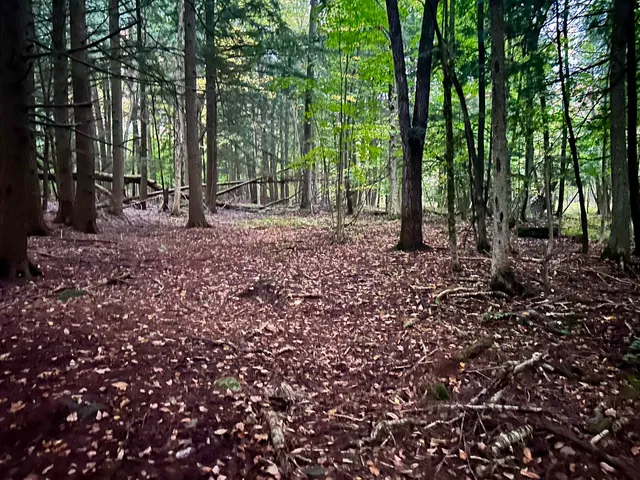 $117,500 | Tbd Pumpkin Village Road, Enosburg Falls, VT 05450