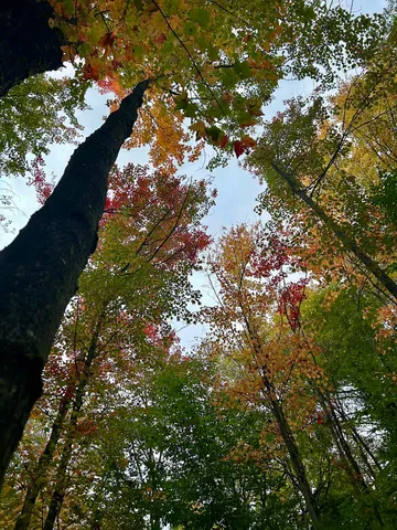 $117,500 | Tbd Pumpkin Village Road, Enosburg Falls, VT 05450