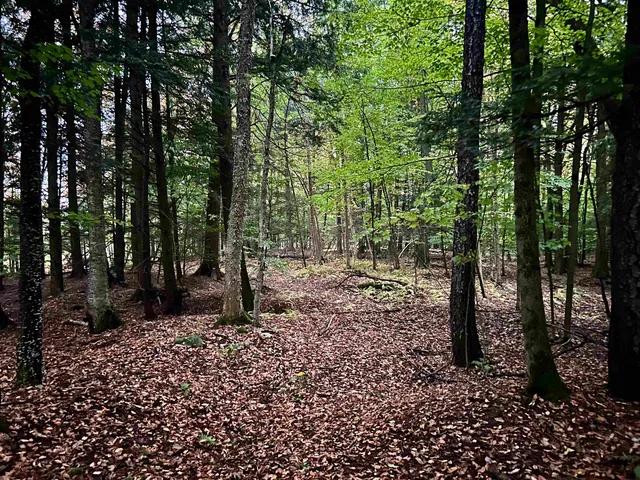 $117,500 | Tbd Pumpkin Village Road, Enosburg Falls, VT 05450