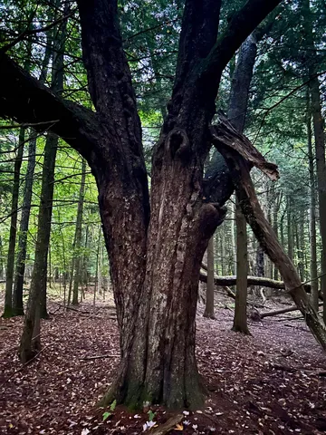 $117,500 | Tbd Pumpkin Village Road, Enosburg Falls, VT 05450