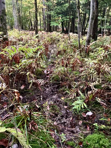 $117,500 | Tbd Pumpkin Village Road, Enosburg Falls, VT 05450