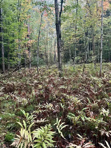 $117,500 | Tbd Pumpkin Village Road, Enosburg Falls, VT 05450