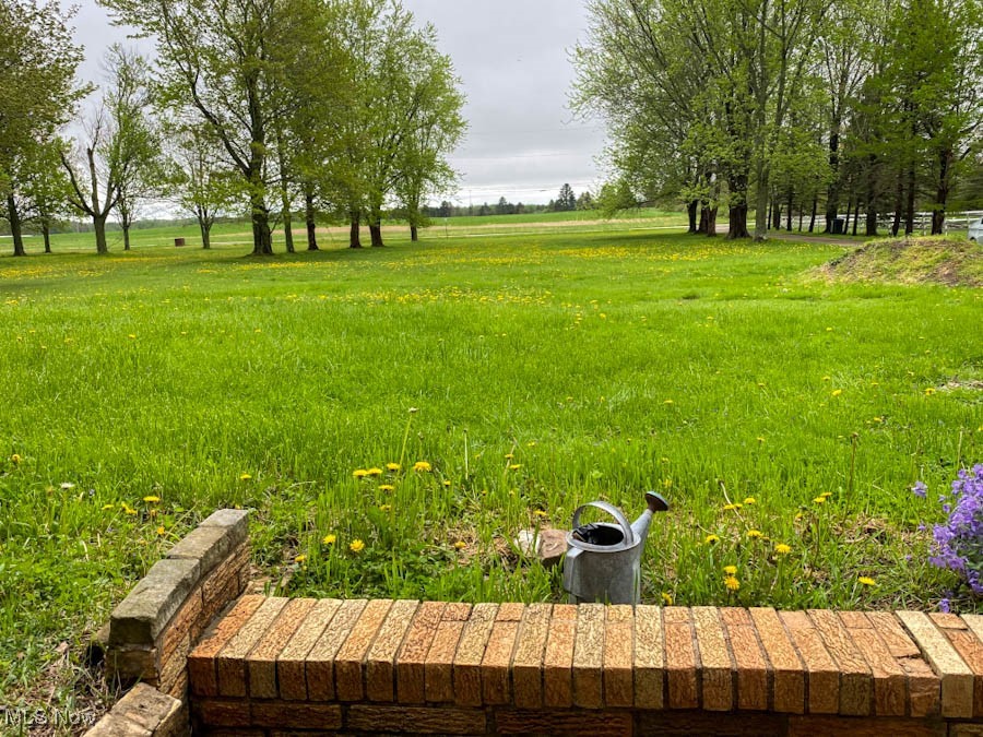 751 Garrison Road Ashtabula, OH 44004 - Photo 19 of 19 View of yard