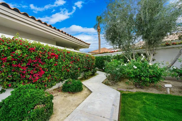 a view of a garden with a flower in a garden