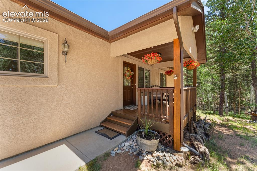 657 Spring Valley Drive Divide, CO 80814 - Photo 2 of 43