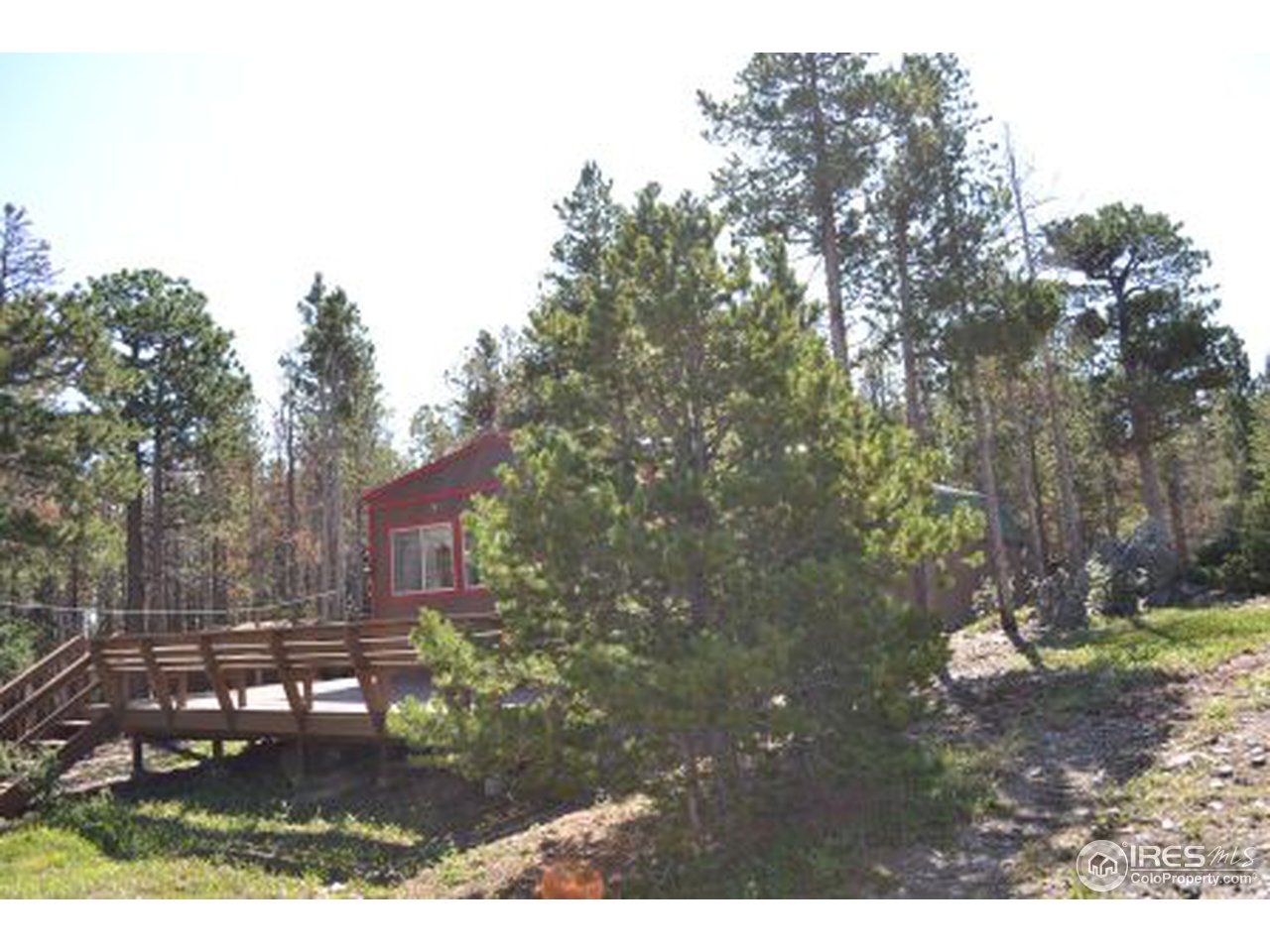 0 Rough Horn Road Bellvue, CO 80512 - Photo 4 of 20 Gallery Image 4