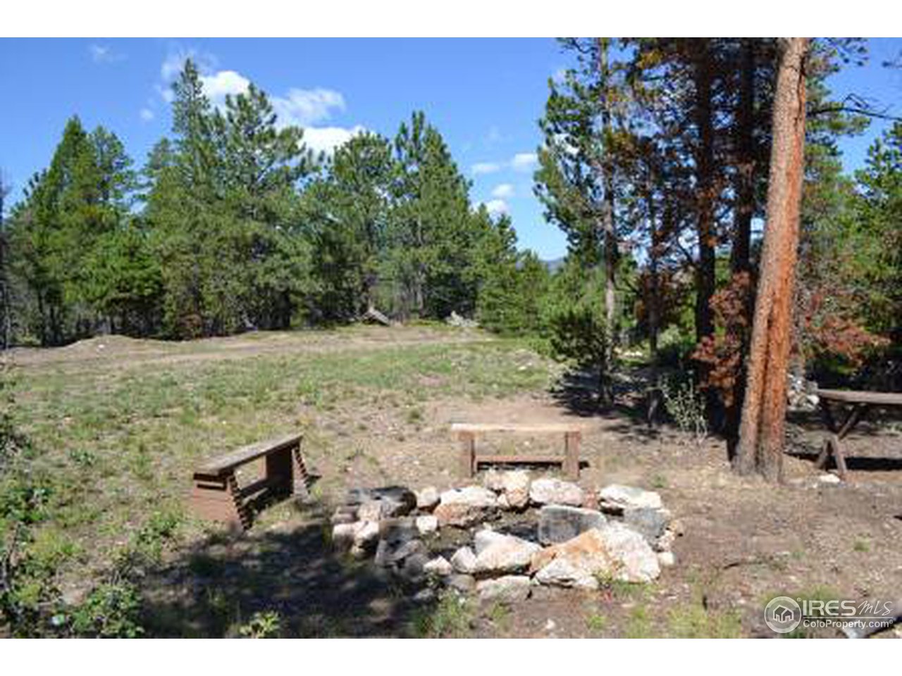 0 Rough Horn Road Bellvue, CO 80512 - Photo 7 of 20 Gallery Image 7