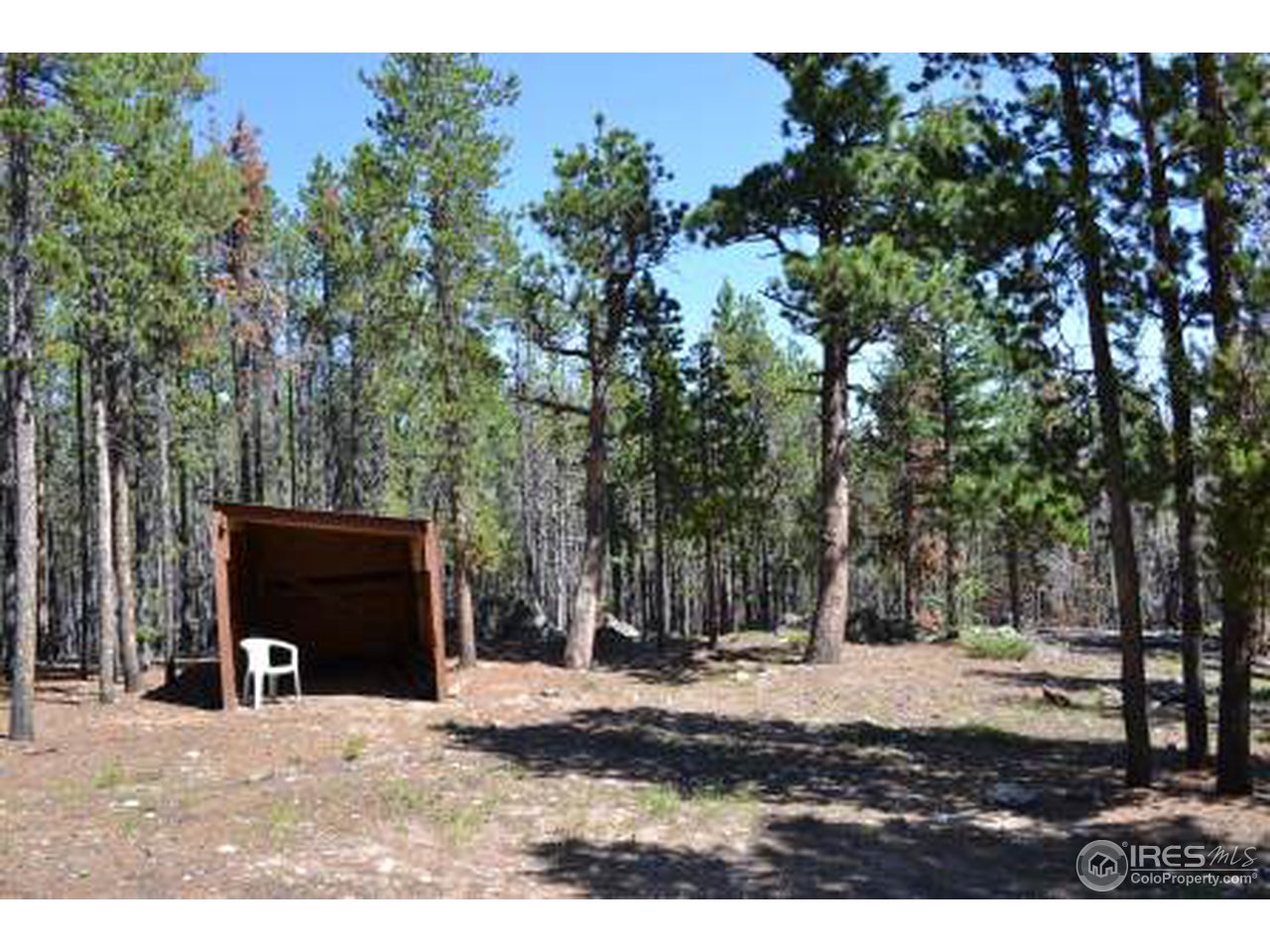 0 Rough Horn Road Bellvue, CO 80512 - Photo 8 of 20 Gallery Image 8