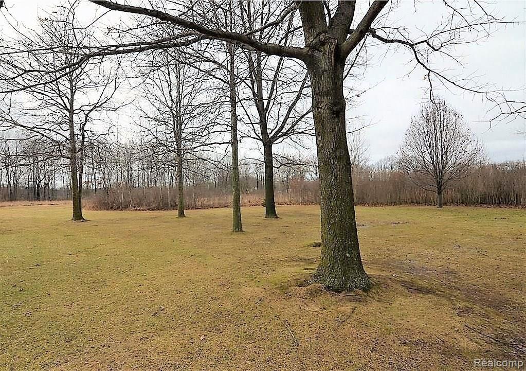 2312 Musson Road Howell, MI 48855 - Photo 26 of 29 WIDE OPEN SPACES