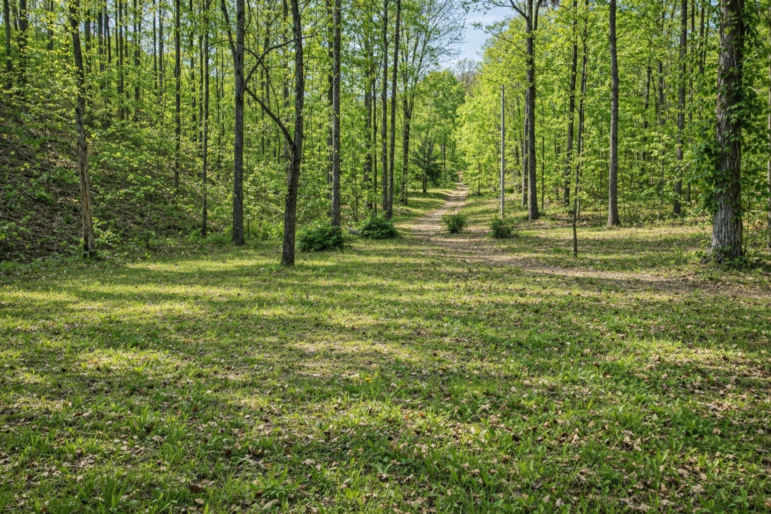 1135 West Mink Branch Road Waynesboro, TN 38485 - Photo 50 of 83