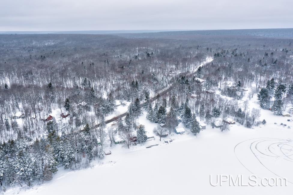 6598 Autrain Forest Lake Road Au Train, MI 49806 - Photo 56 of 59