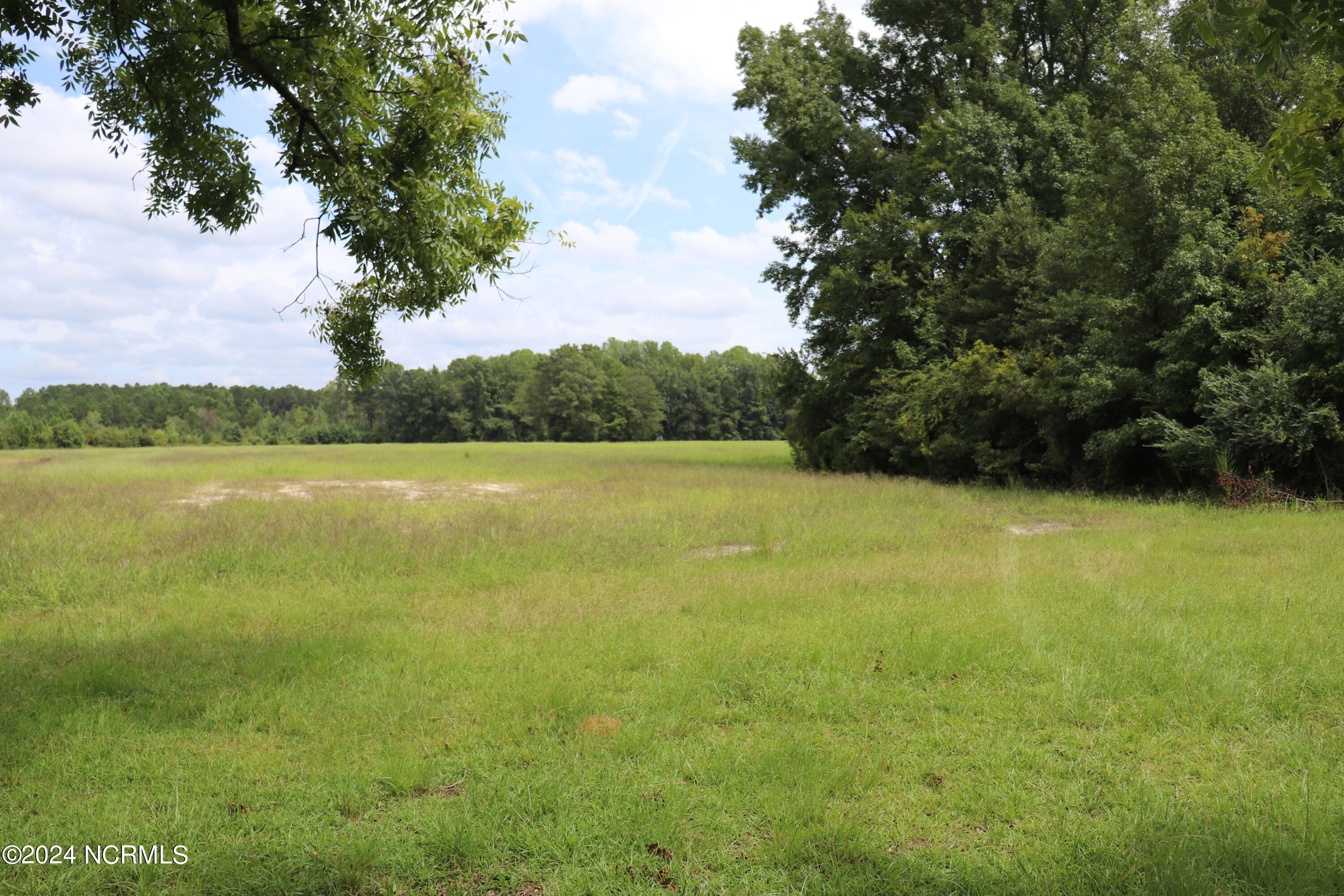 Tbd Tbd Pocosin Road Council, NC 28434 - Photo 8 of 25 Transition area from farm path to field - facing Northeast