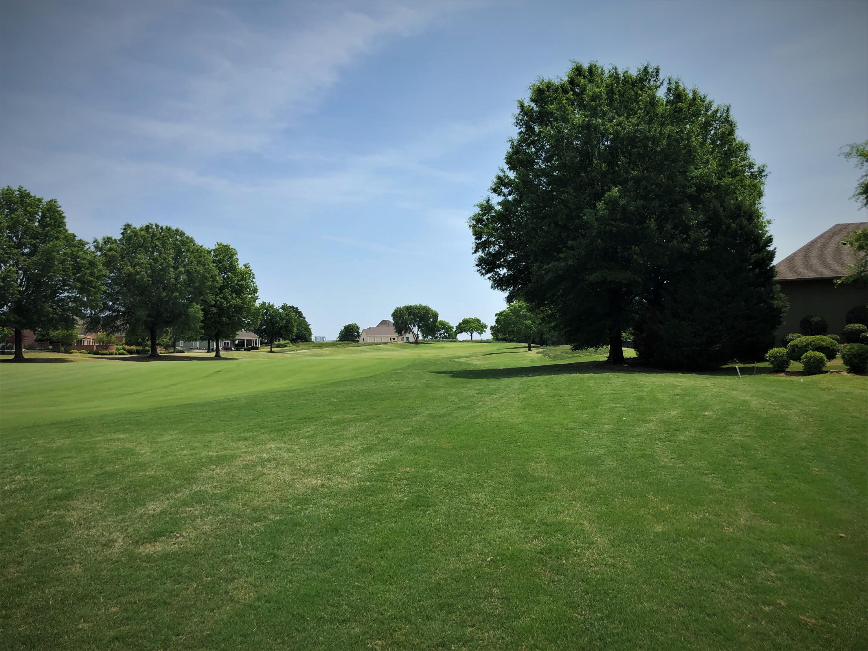 1 Grey Feather Road, Unit 225 Ringgold, GA 30736 - Photo 4 of 10 back 10th hole