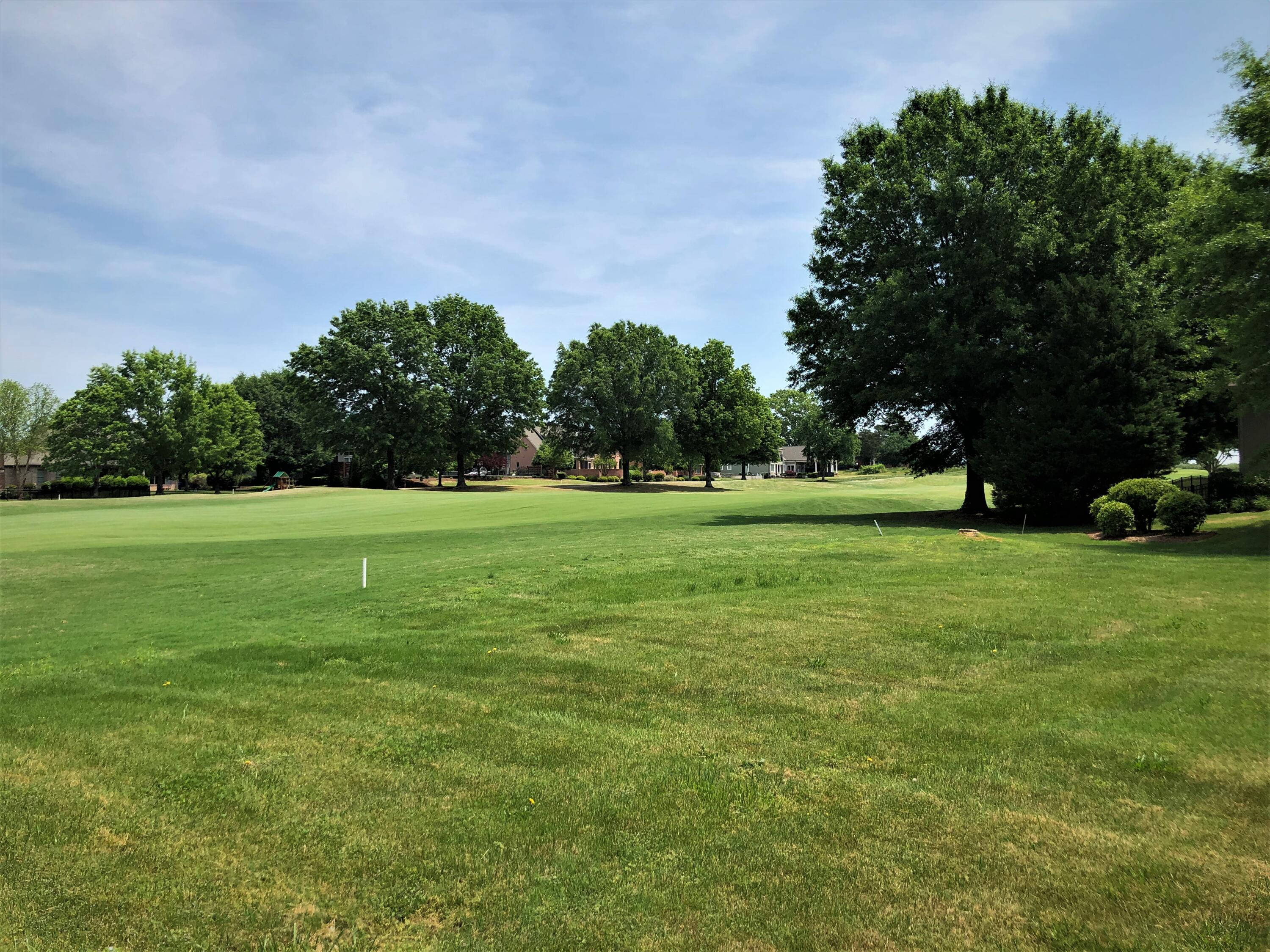 1 Grey Feather Road, Unit 225 Ringgold, GA 30736 - Photo 5 of 10 back to 10th hole 2