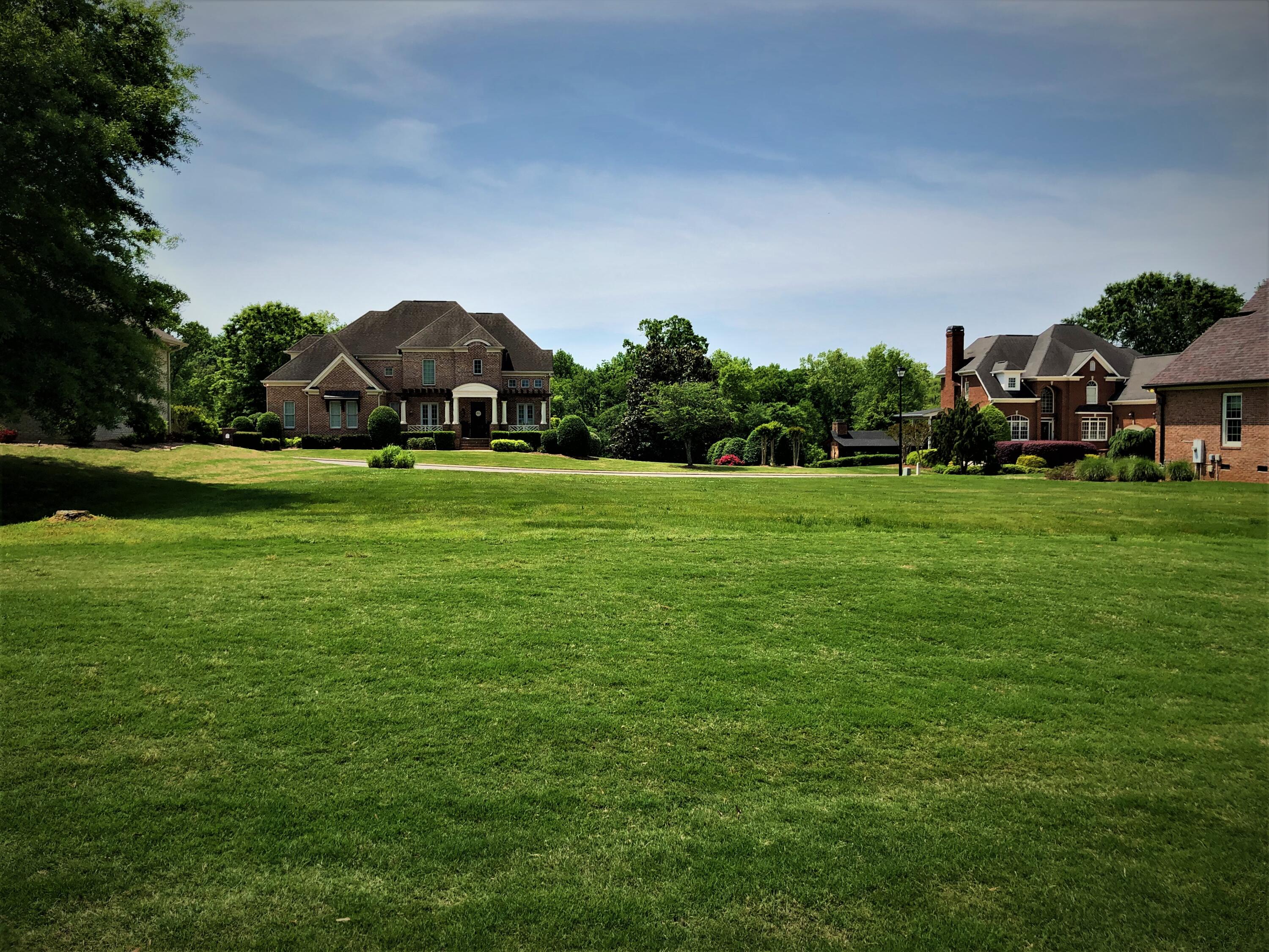 1 Grey Feather Road, Unit 225 Ringgold, GA 30736 - Photo 6 of 10 Rear Lot view