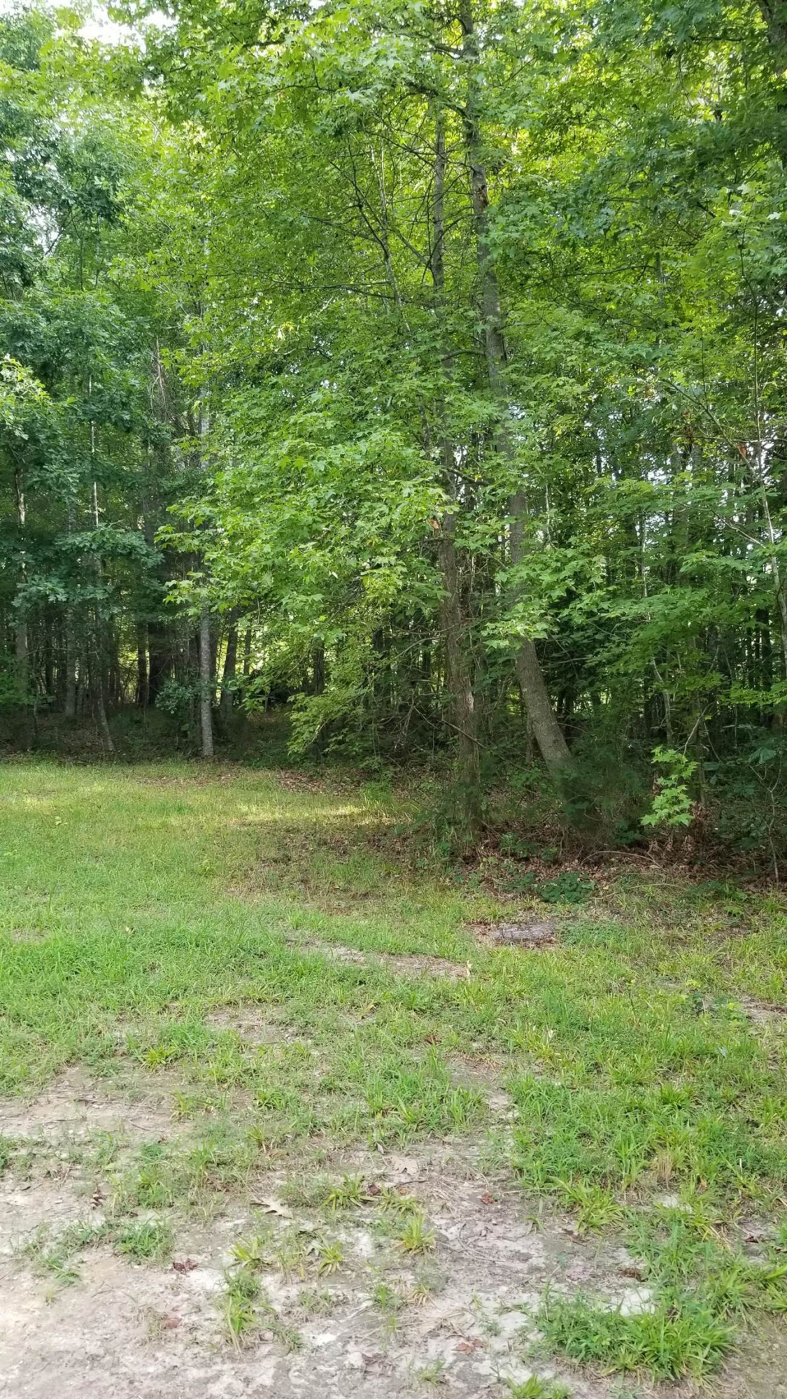 360 Caley Wilson Road Apex, NC 27523 - Photo 11 of 18 Photo 11