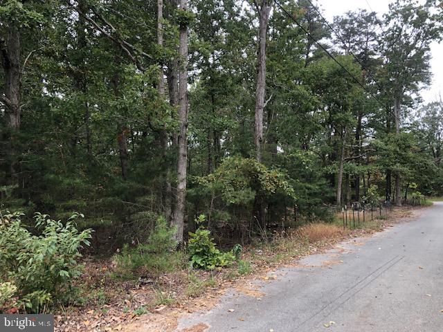 10731 Cross Road Trl Road Brandywine, MD 20613 - Photo 6 of 12