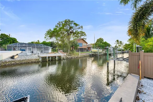 a view of a lake with boats and palm trees