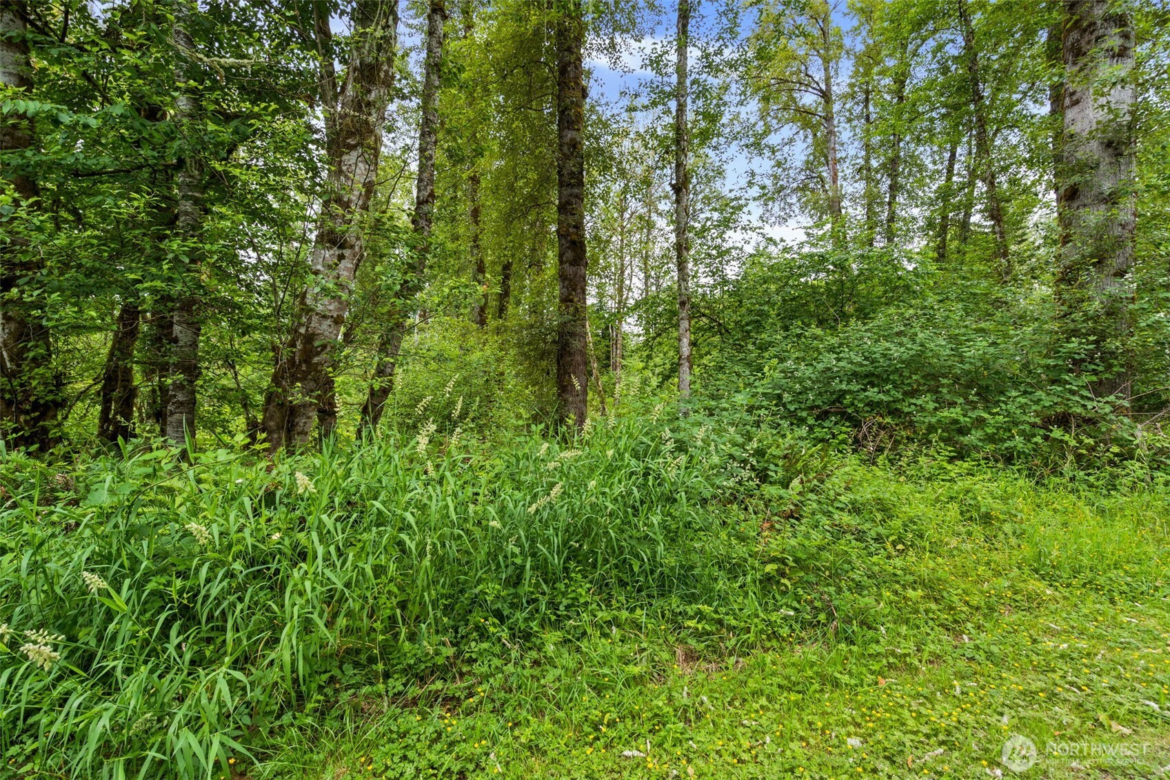 -xxx Harmony Road Mossyrock, WA 98564 - Photo 19 of 19