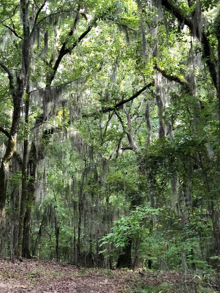 Lot #52 Chestnut Hill Road, Unit 52A Flora, MS 39071 - Photo 1 of 4 Photo 1