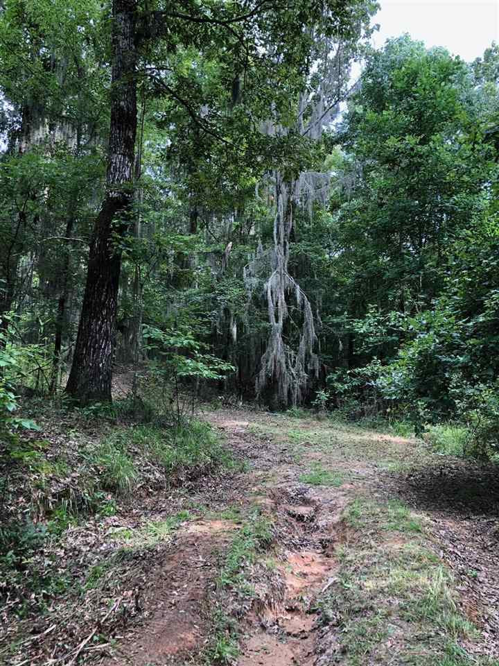 Lot #52 Chestnut Hill Road, Unit 52A Flora, MS 39071 - Photo 2 of 4 Photo 2