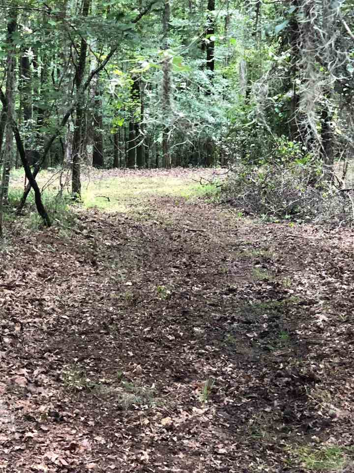 Lot #52 Chestnut Hill Road, Unit 52A Flora, MS 39071 - Photo 3 of 4 Photo 3