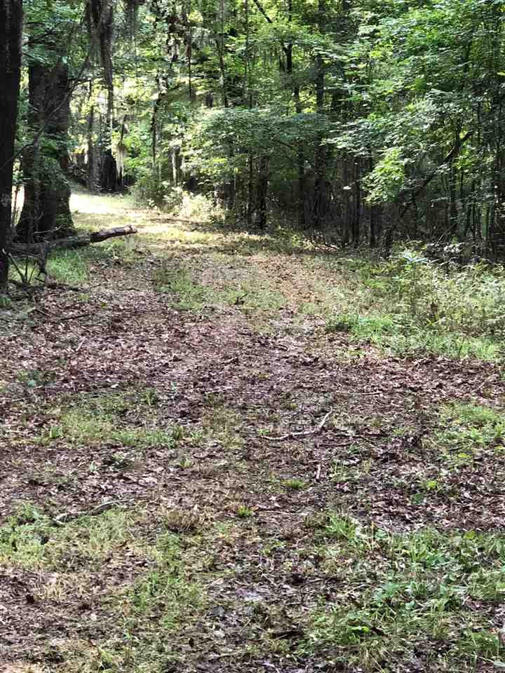 Lot #52 Chestnut Hill Road, Unit 52A Flora, MS 39071 - Photo 4 of 4 Photo 4