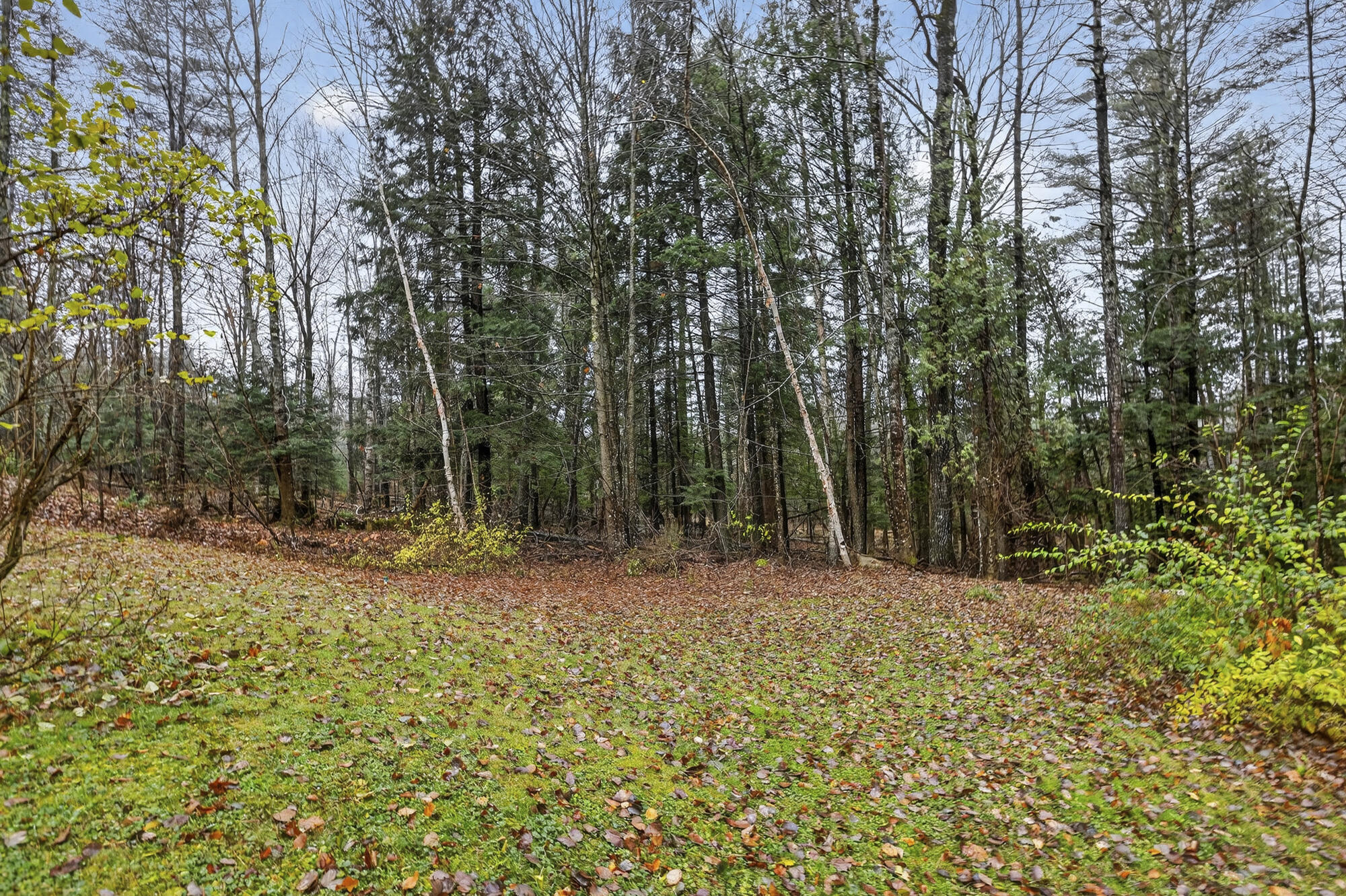 7 Jodie Avenue Fairfield, ME 04937 - Photo 34 of 35 Jodie 33