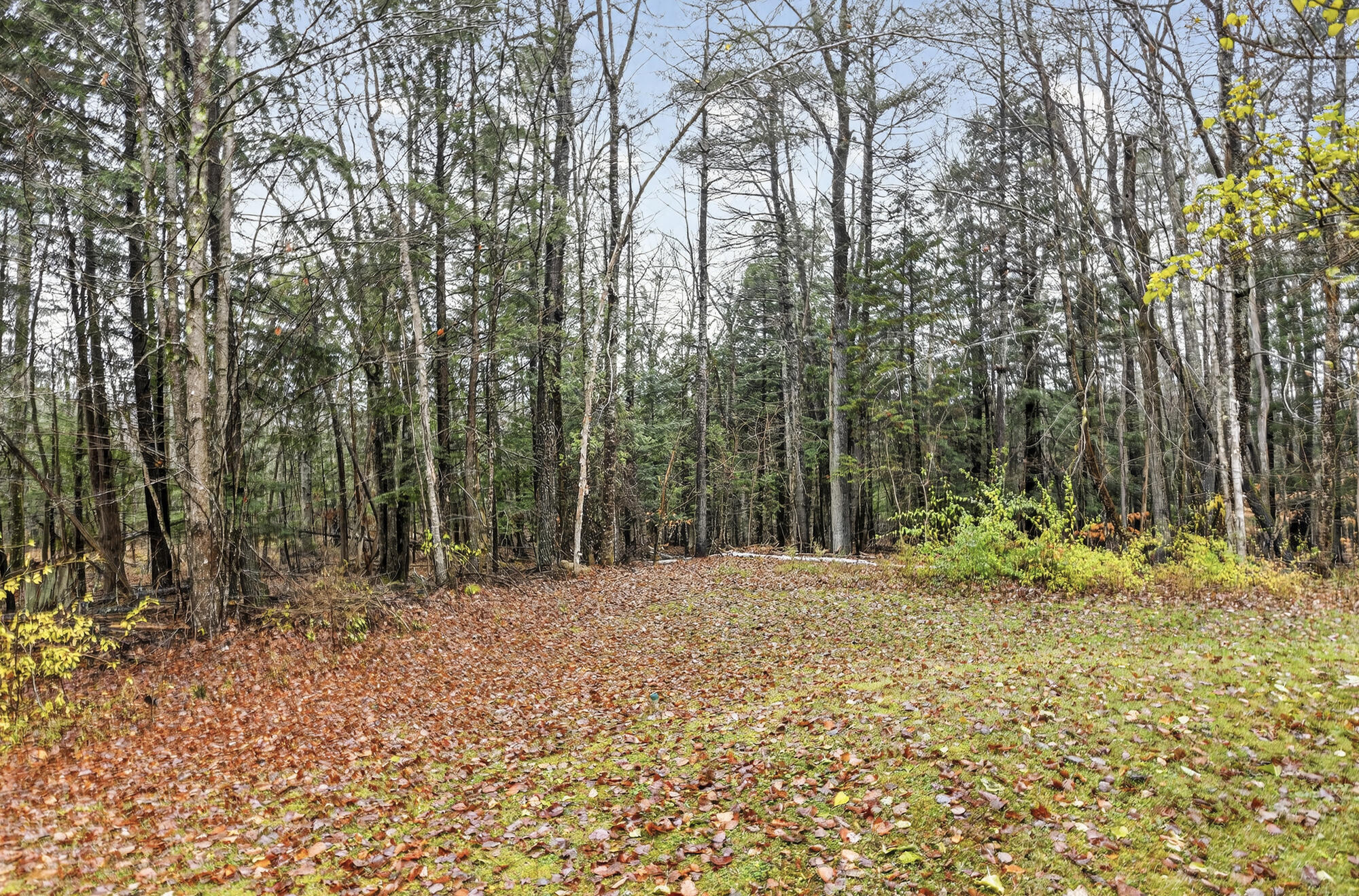 7 Jodie Avenue Fairfield, ME 04937 - Photo 35 of 35 Jodie 36