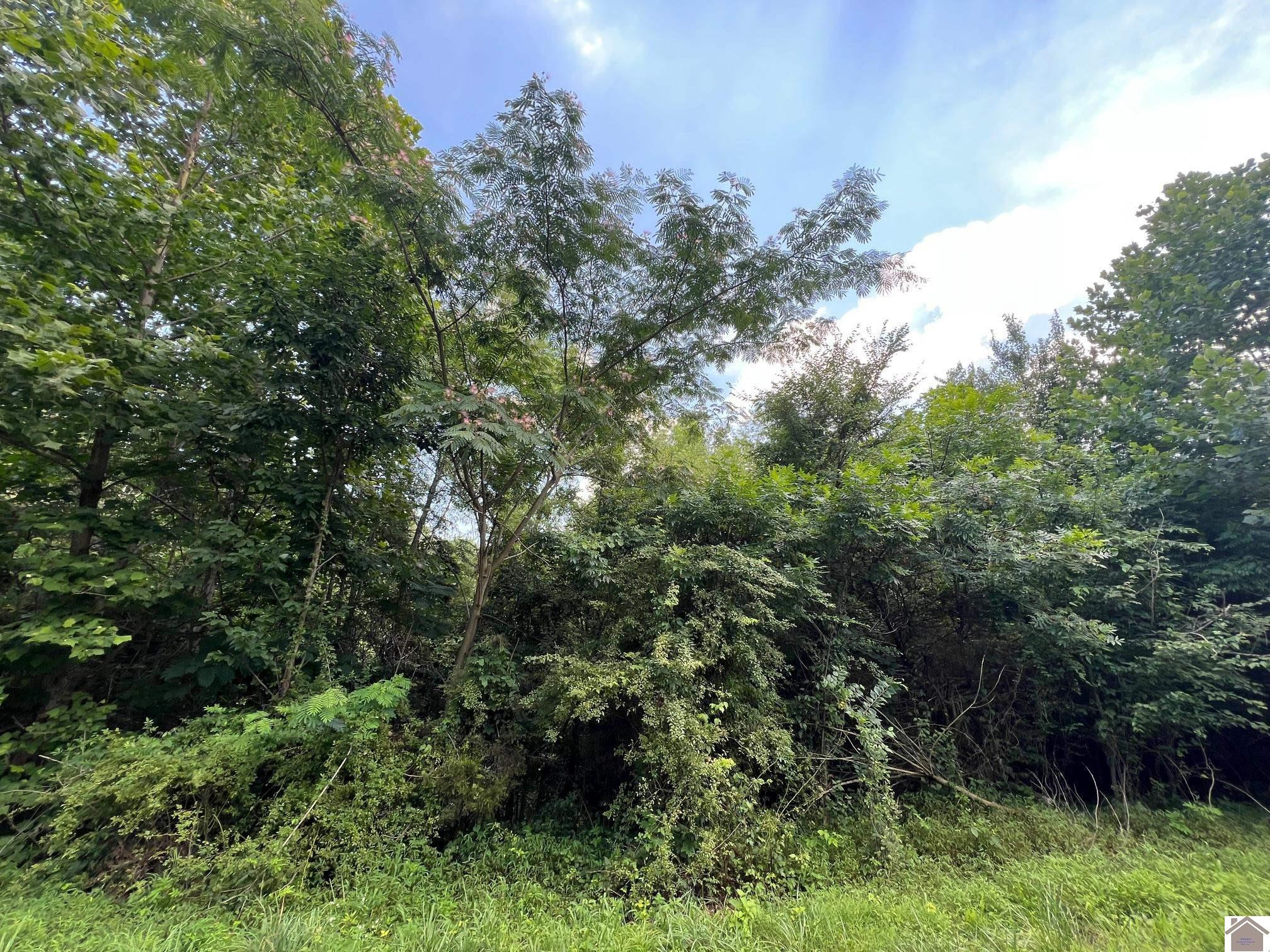 Lot 58 Western, Unit PHASE III Murray, KY 42071 - Photo 3 of 7 Photo 3