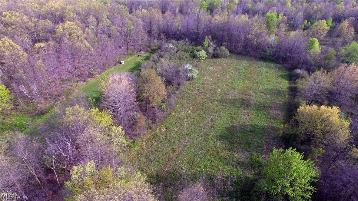 659 State Road Northwest Warren, OH 44483 - Photo 11 of 35 Gallery Image 11