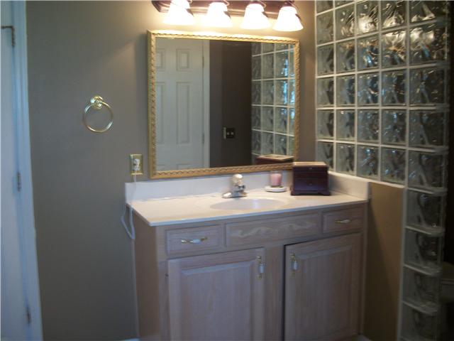 2237 Pleasant View Road Pleasant View, TN 37146 - Photo 5 of 20 Another view of Master bath