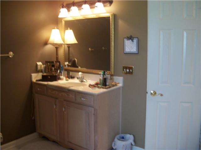 2237 Pleasant View Road Pleasant View, TN 37146 - Photo 6 of 20 another view of Master bath