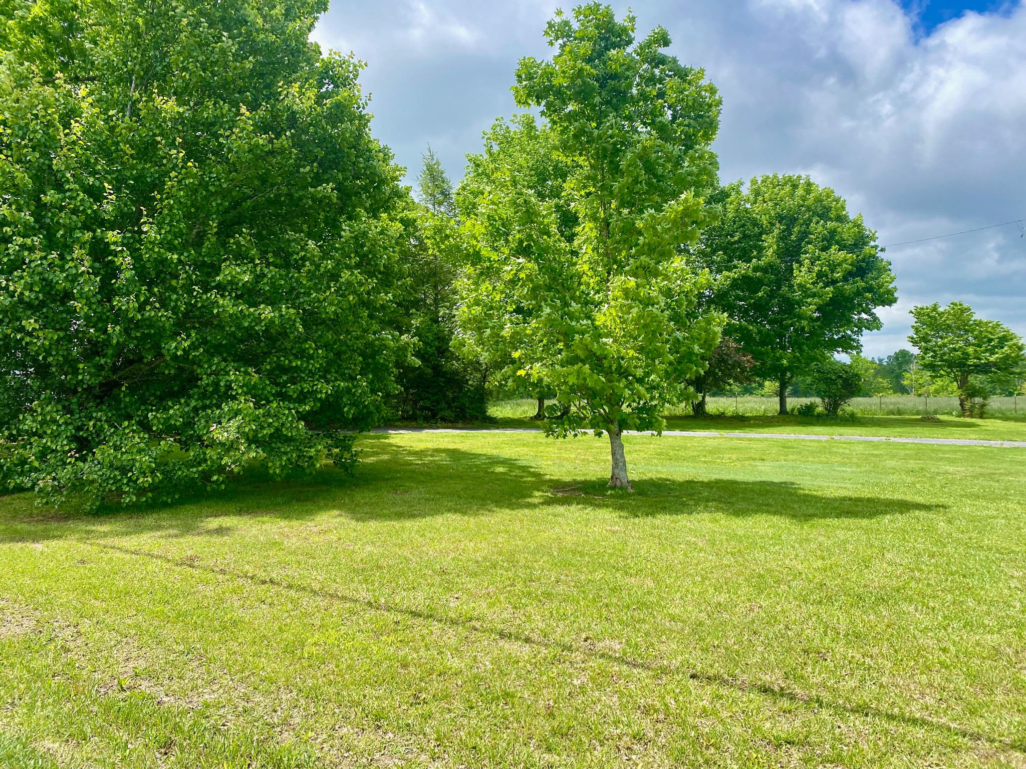 1039 Old Martha Washington Road Clarkrange, TN 38553 - Photo 12 of 49