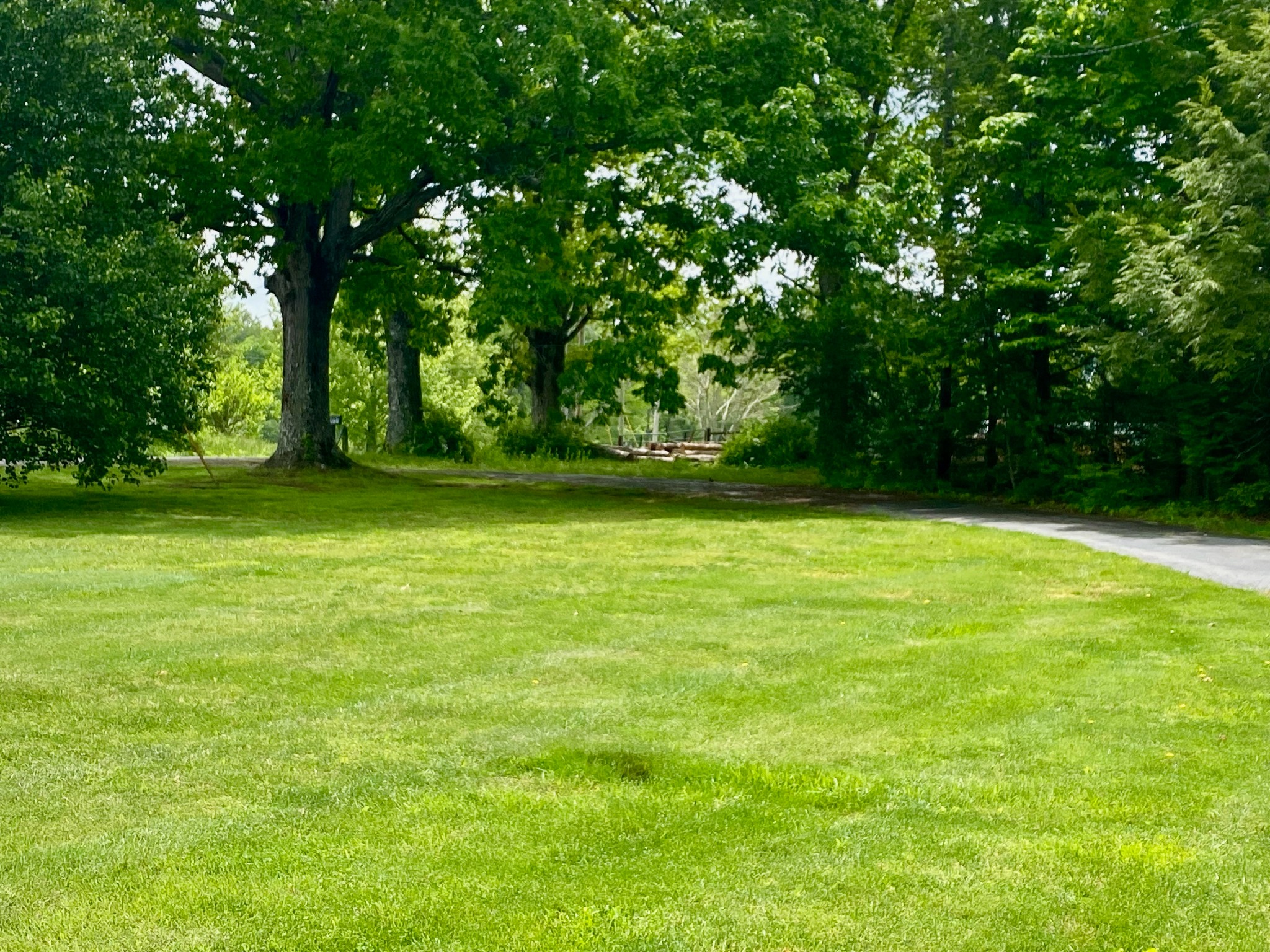 1039 Old Martha Washington Road Clarkrange, TN 38553 - Photo 13 of 49