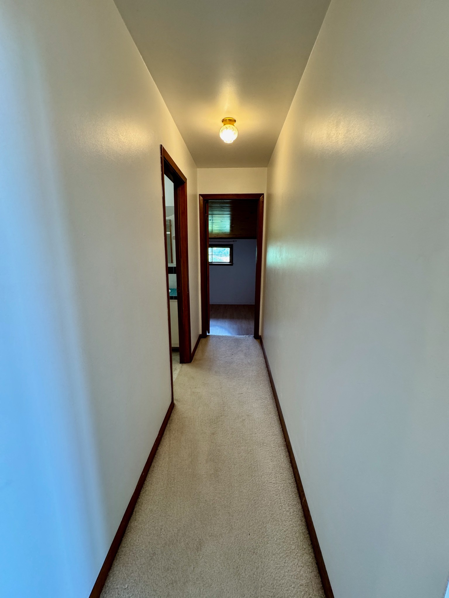 1039 Old Martha Washington Road Clarkrange, TN 38553 - Photo 33 of 49