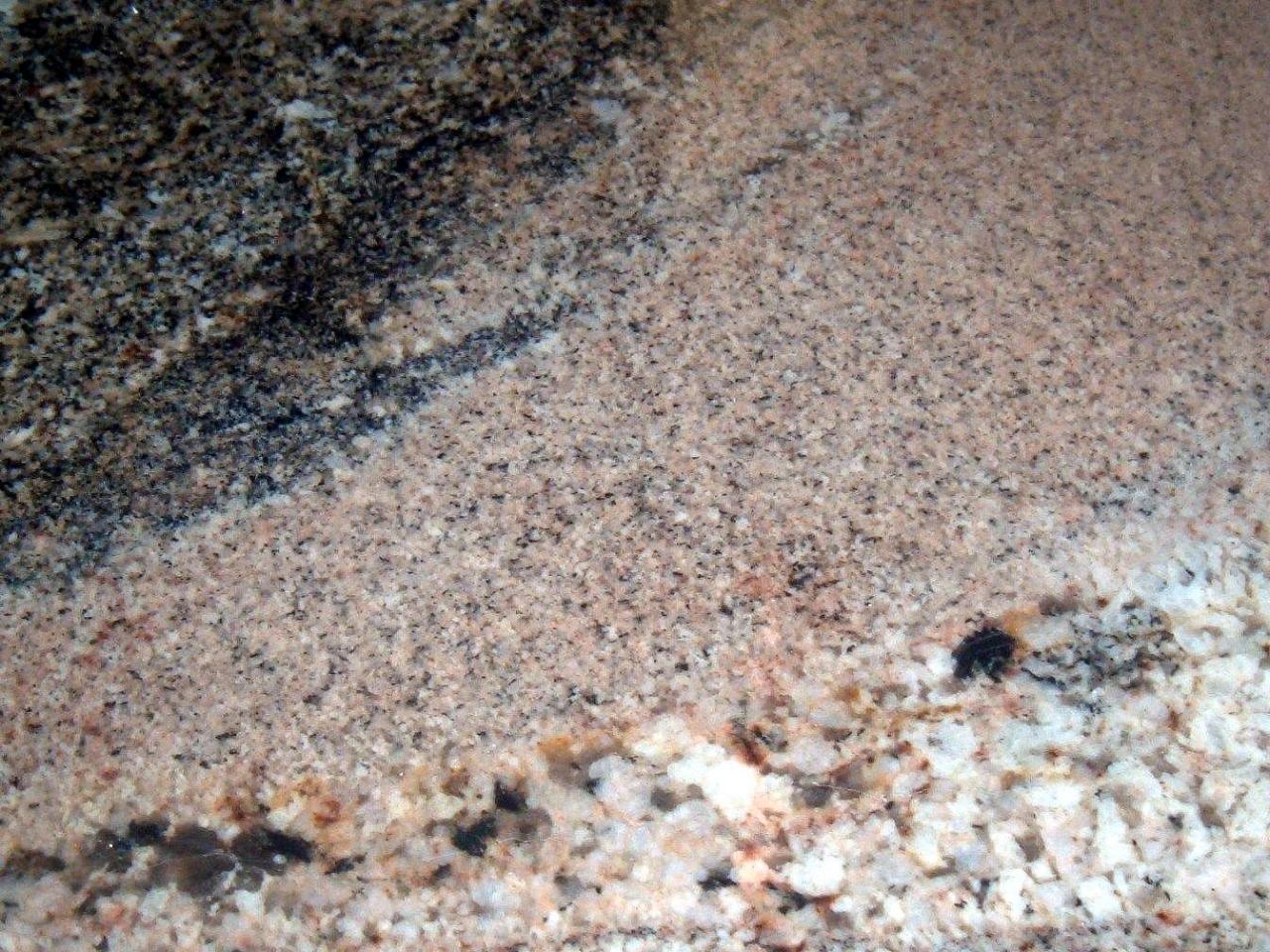 9861 Barley Road Florence, AZ 85132 - Photo 13 of 20 Granite 2