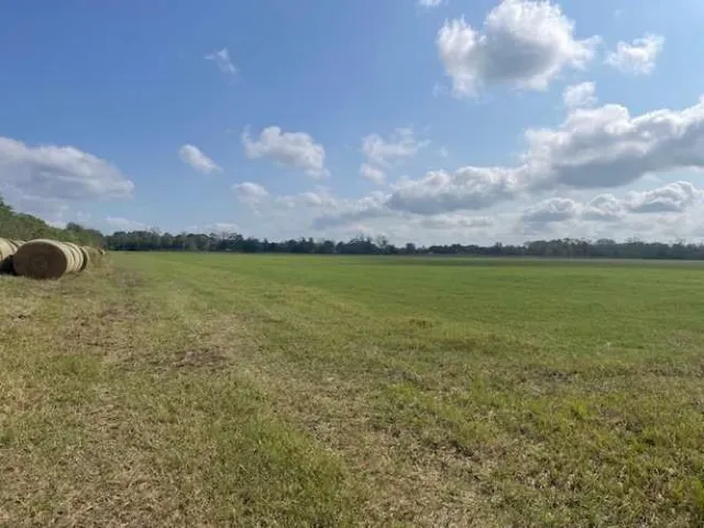 $2,985,000 | 0 Peters Road, Crosby, TX 77532