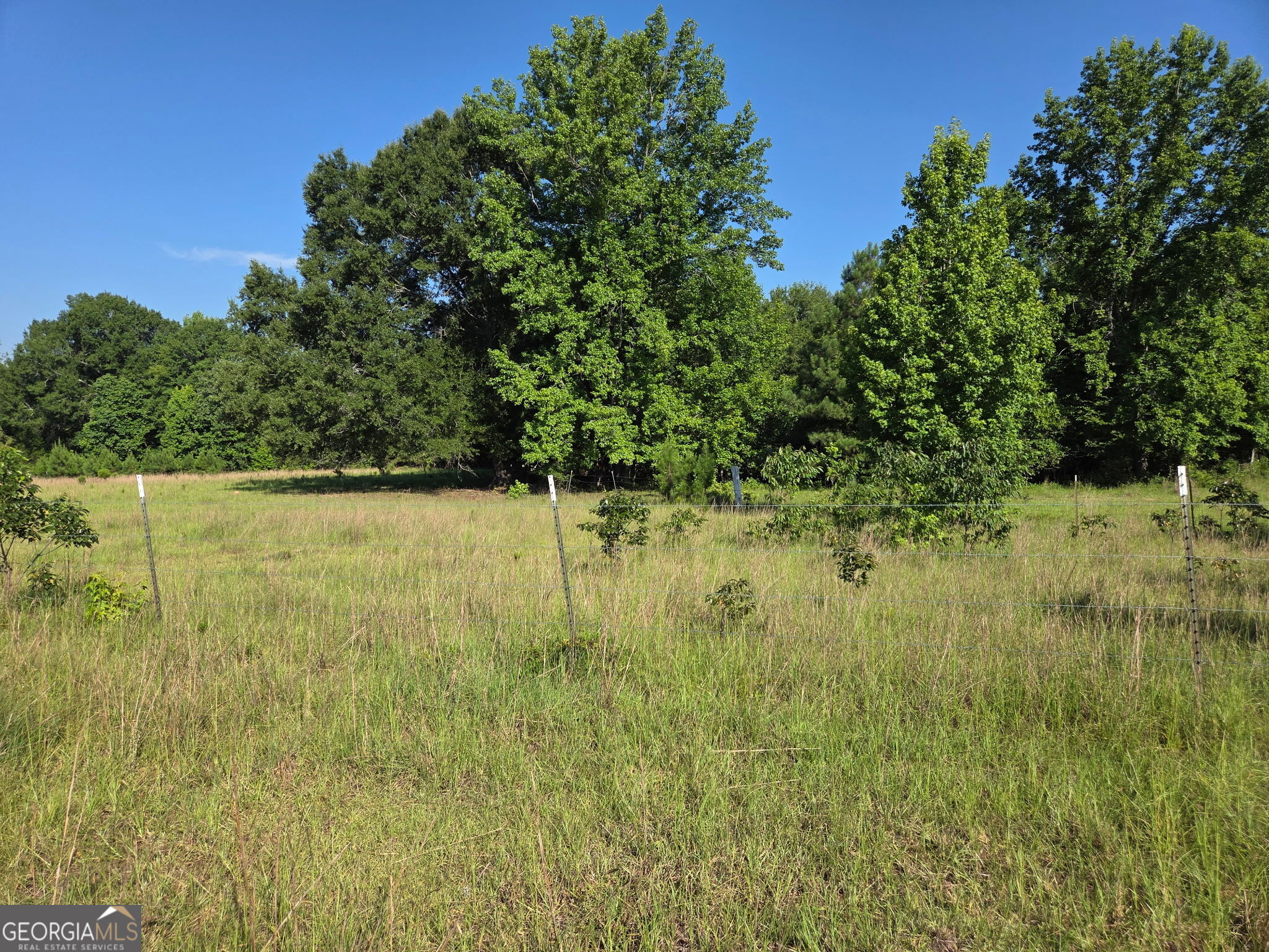 0 Rocky Branch Church Road Norwood, GA 30821 - Photo 4 of 6 Gallery Image 4