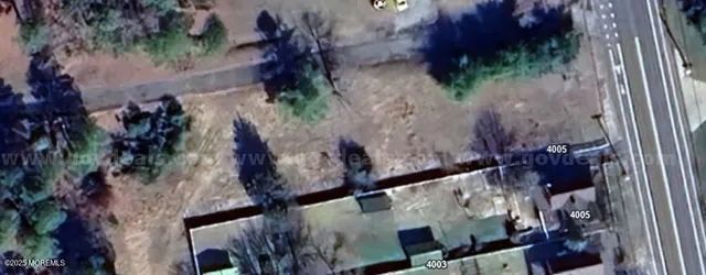 a close up of a tree