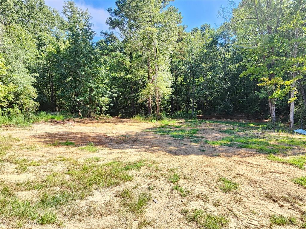 9937 County Road 3250 Timpson, TX 75975 - Photo 13 of 40 a view of outdoor space with trees