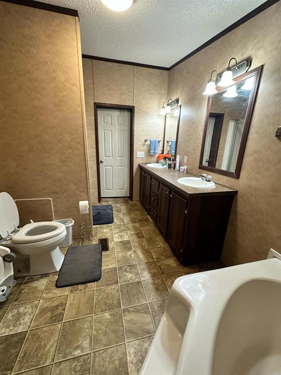 9937 County Road 3250 Timpson, TX 75975 - Photo 23 of 40 a bathroom with a sink vanity mirror and toilet