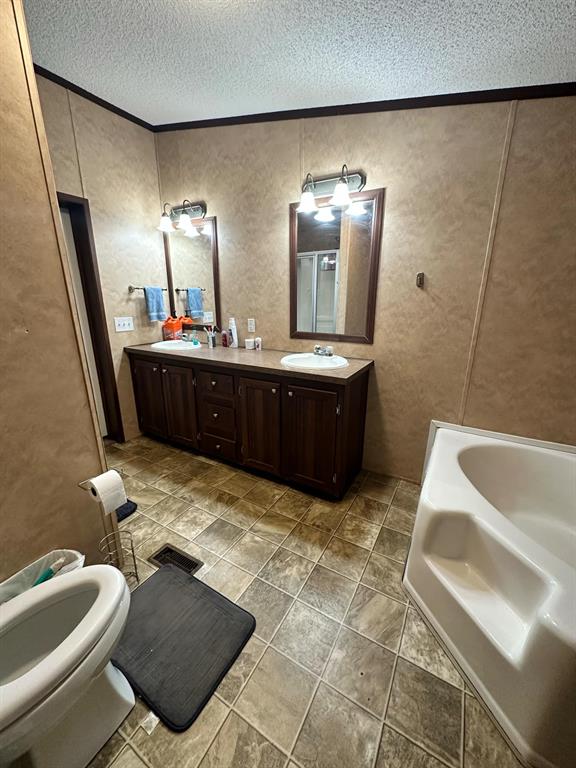 9937 County Road 3250 Timpson, TX 75975 - Photo 35 of 40 a bathroom with a sink a toilet a mirror and bathtub