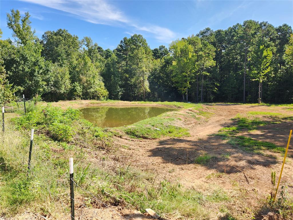 9937 County Road 3250 Timpson, TX 75975 - Photo 4 of 40 a view of a swimming pool with an outdoor space