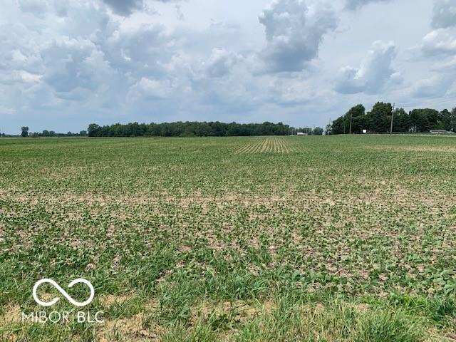 21650 Mule Barn Road Sheridan, IN 46069 - Photo 2 of 2