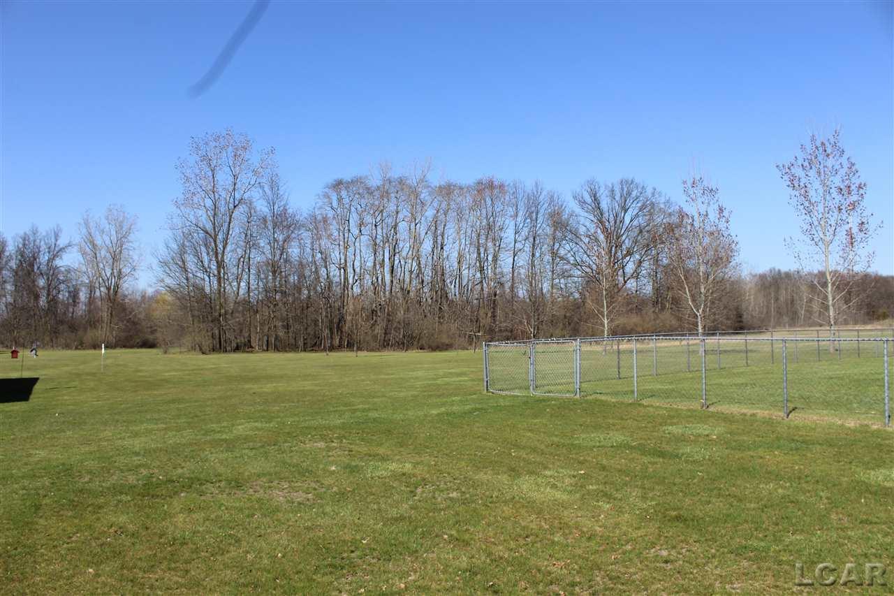 11160 Darling Road Milan, MI 48160 - Photo 17 of 52 31346046-16.JPG