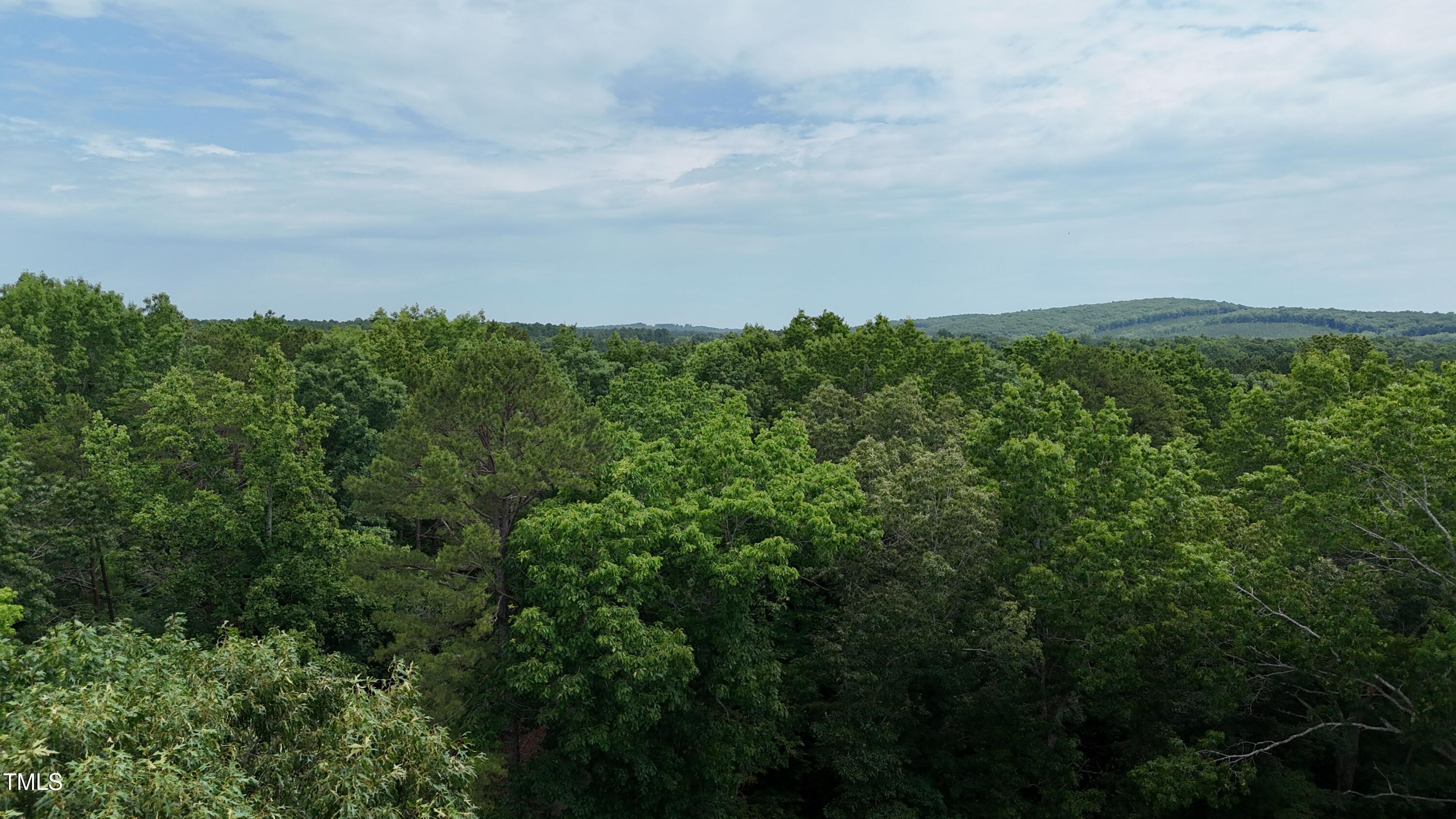 951 Harris Mill Road Rougemont, NC 27572 - Photo 11 of 89 dji_fly_20250607_112652_0003_17493119822