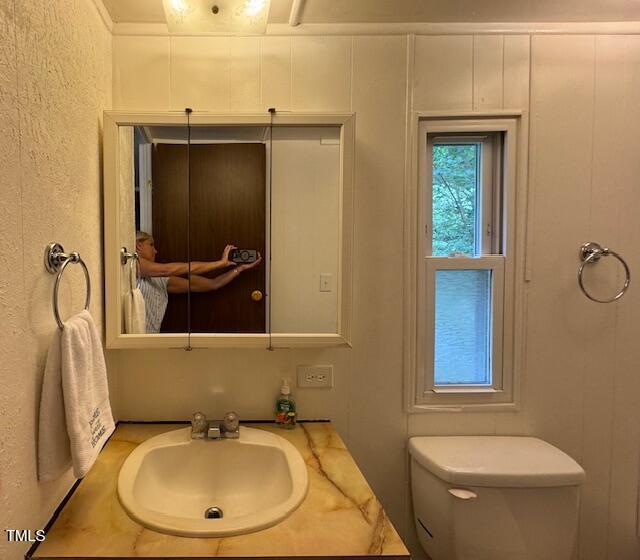 951 Harris Mill Road Rougemont, NC 27572 - Photo 44 of 89 a bathroom with a sink and mirror with toilet