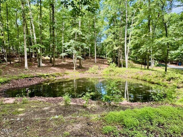 951 Harris Mill Road Rougemont, NC 27572 - Photo 75 of 89 a view of a backyard of the house